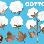 Thumbnail of related posts 124