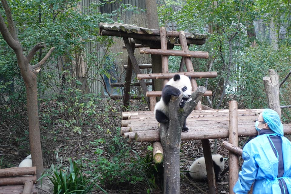 Thumbnail of post image 098